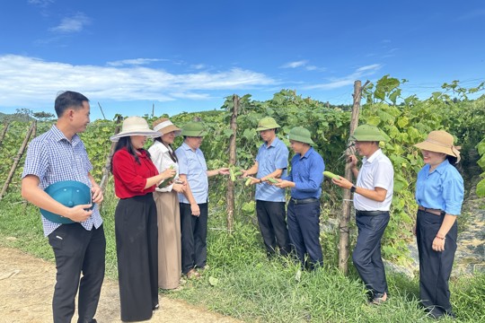 Lãnh đạo xã Hương Đô khảo sát, đánh giá các mô hình kinh tế tiêu biểu trên địa bàn 